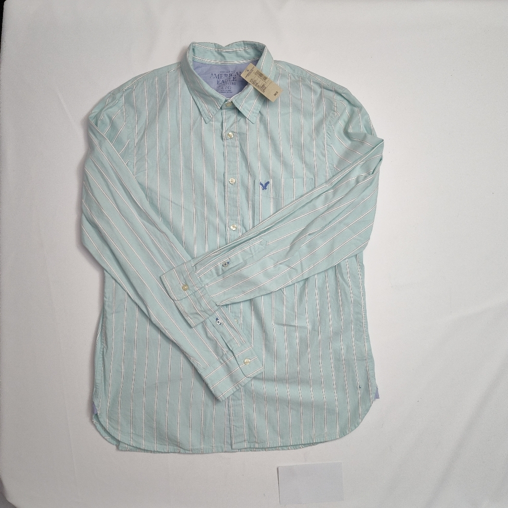 NWT American Eagle Outfitters Men's Mint Green Stripe, Button Up Shirt, Sz Large